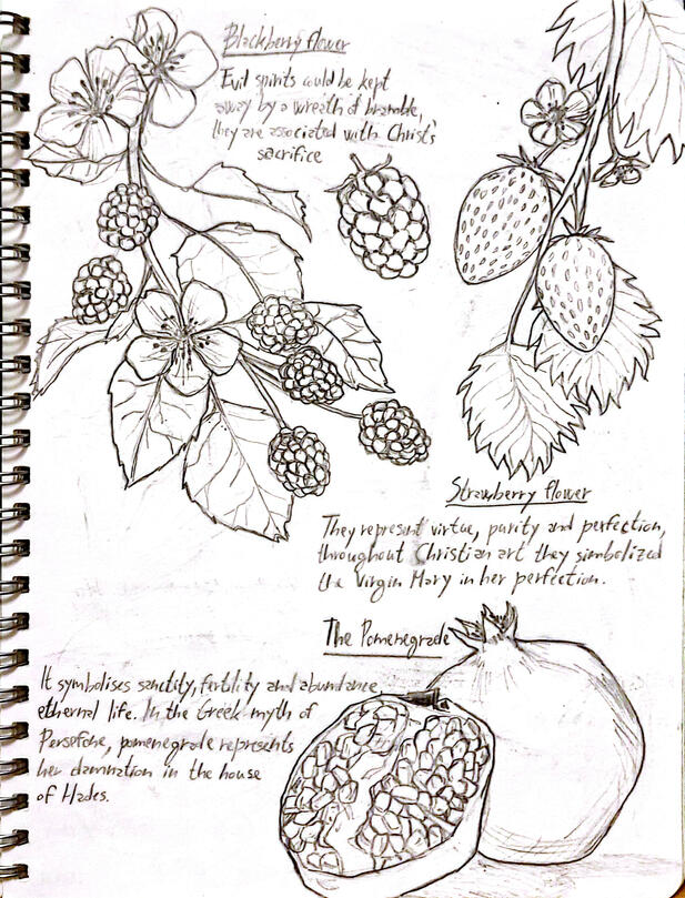 Fruit sketches