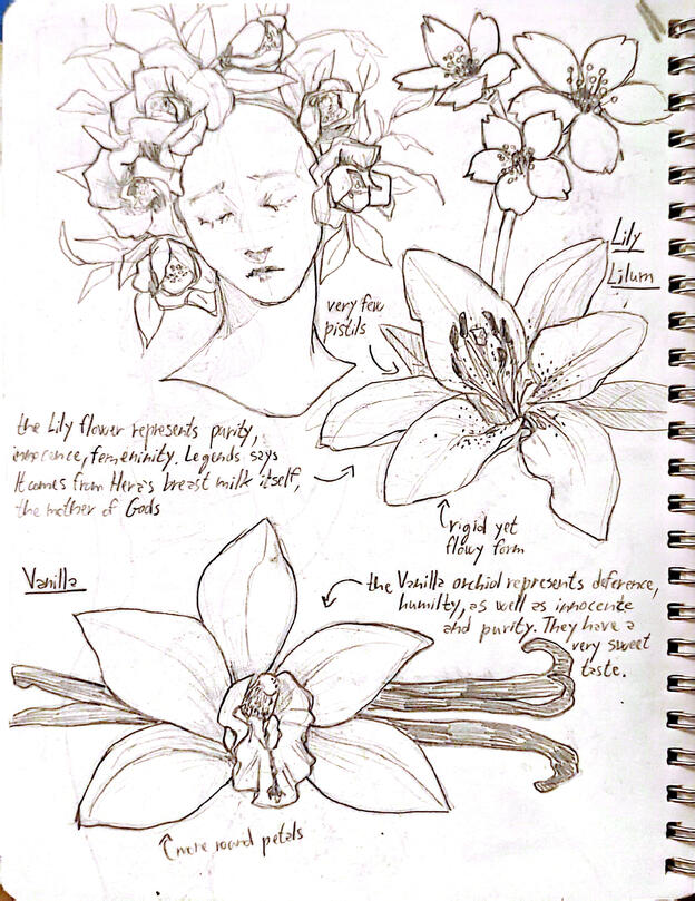 Flowers sketches